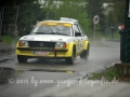 RGO_Rallye2015-389.JPG